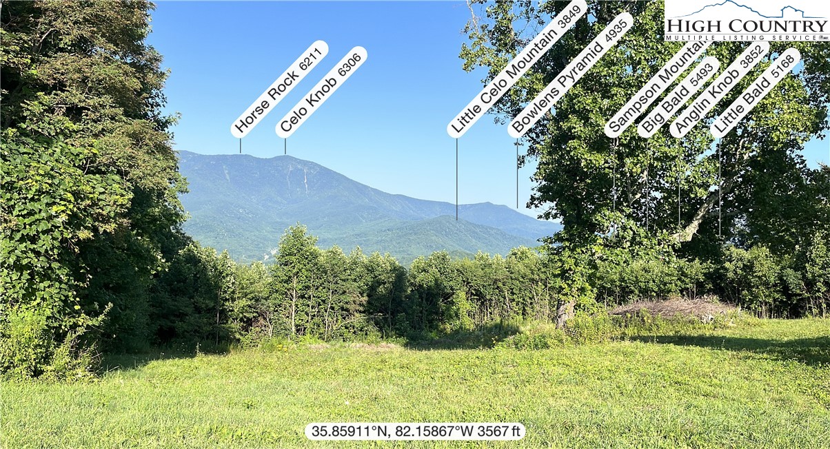 Cabbage Patch Road Burnsville, NC 28714 - Photo 7 of 23 a view of outdoor space and yard