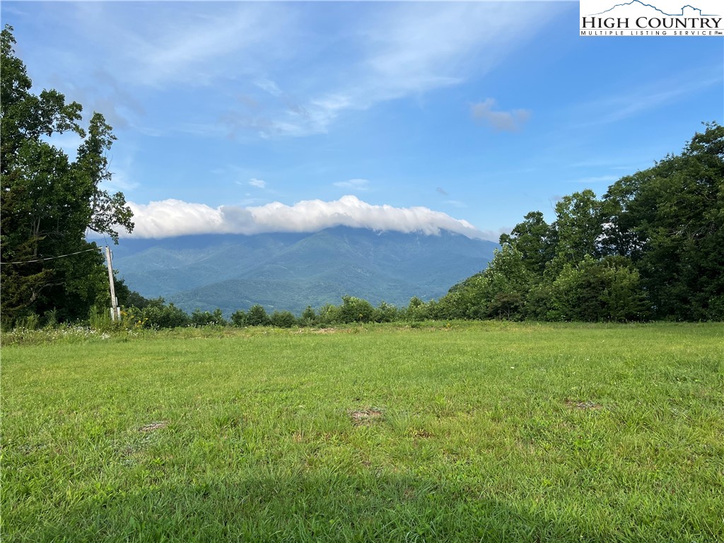 Cabbage Patch Road Burnsville, NC 28714 - Photo 8 of 23