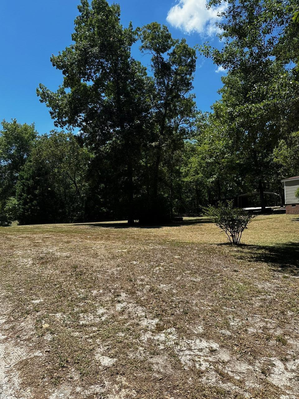 224 Cotton Branch Road Leesville, SC 29070 - Photo 3 of 52