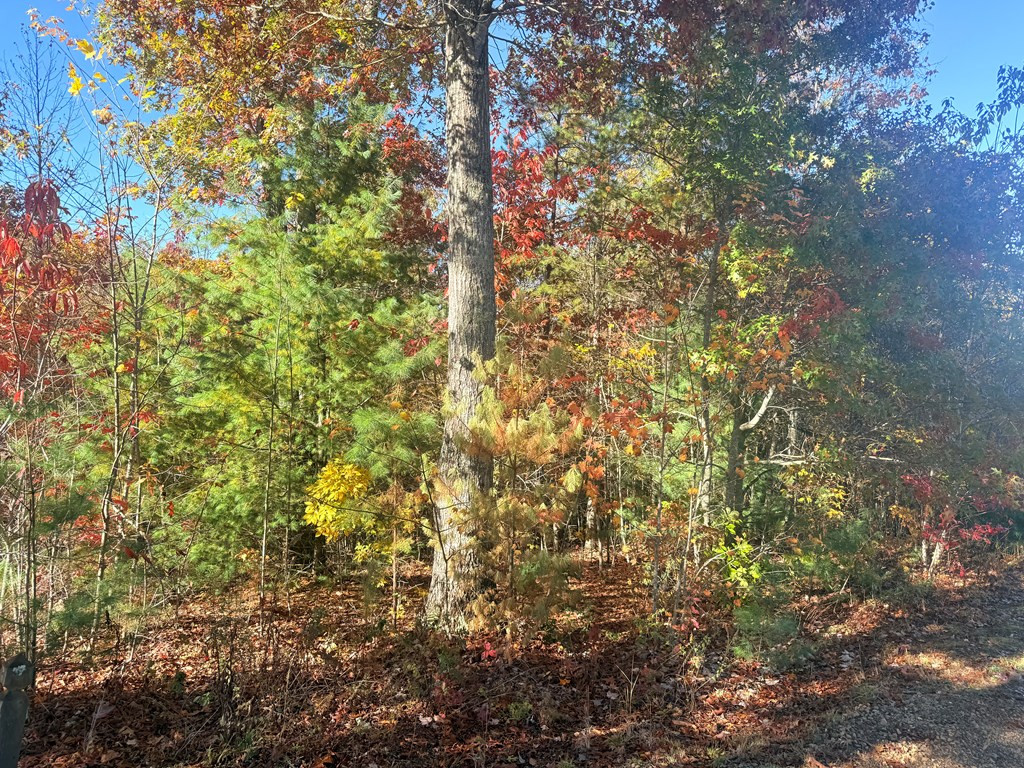 Lot 25 Hideaway Ridge Drive Murphy, NC 28906 - Photo 3 of 4