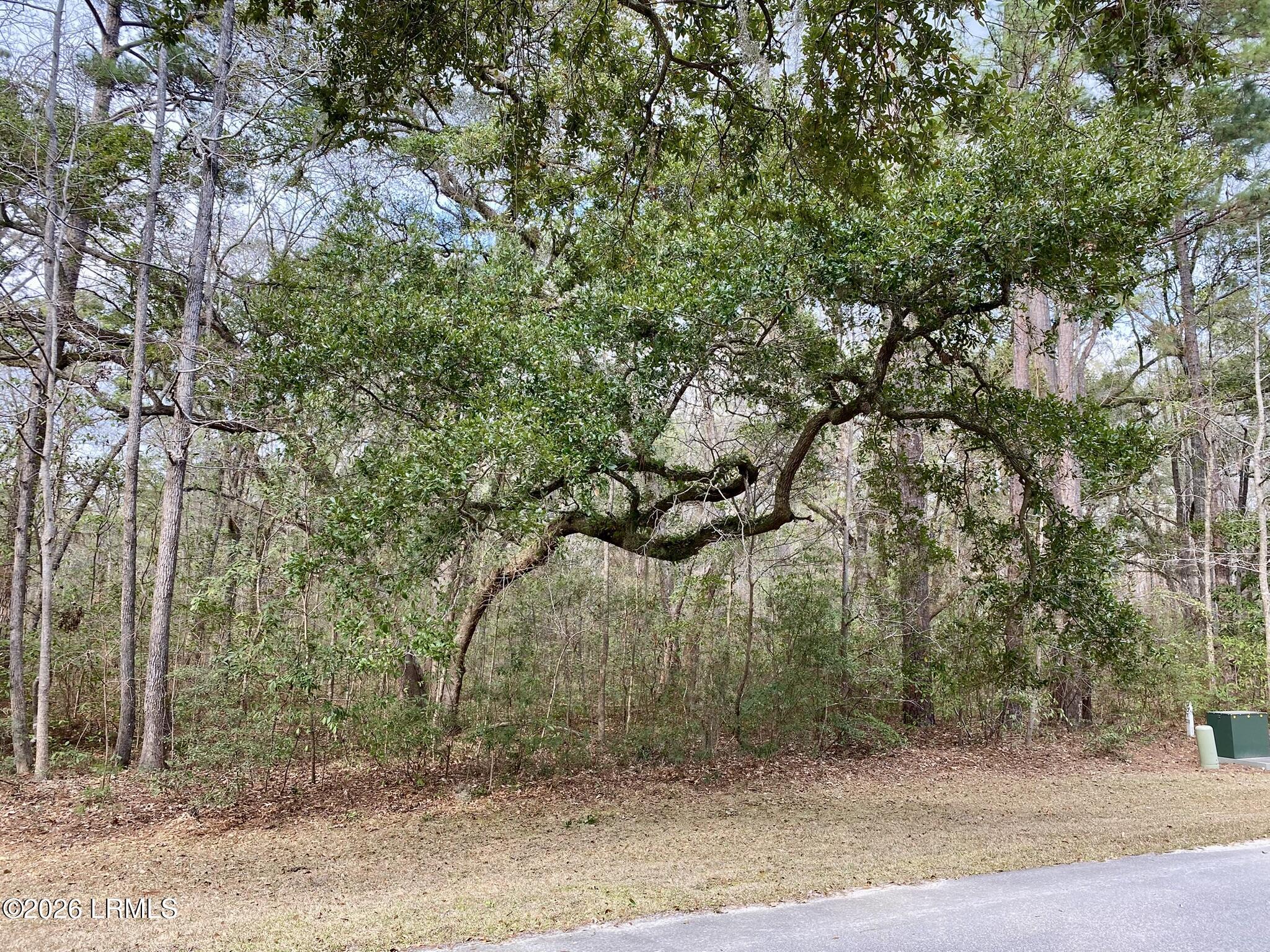 5 Blake Lane Seabrook, SC 29940 - Photo 23 of 40 21 IMG_8084