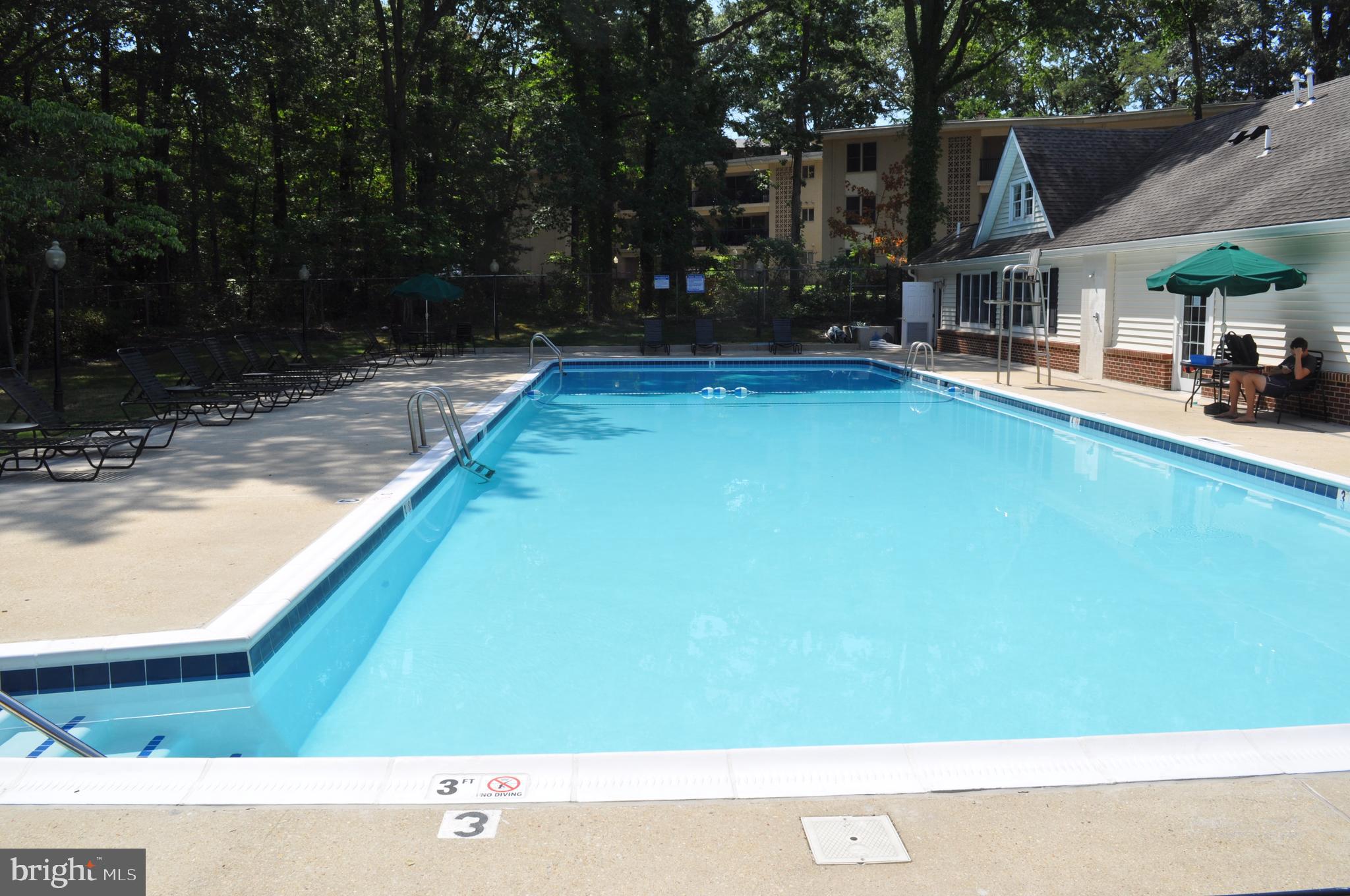 1006 Primrose Road, Unit 103 Annapolis, MD 21403 - Photo 24 of 24 Community pool
