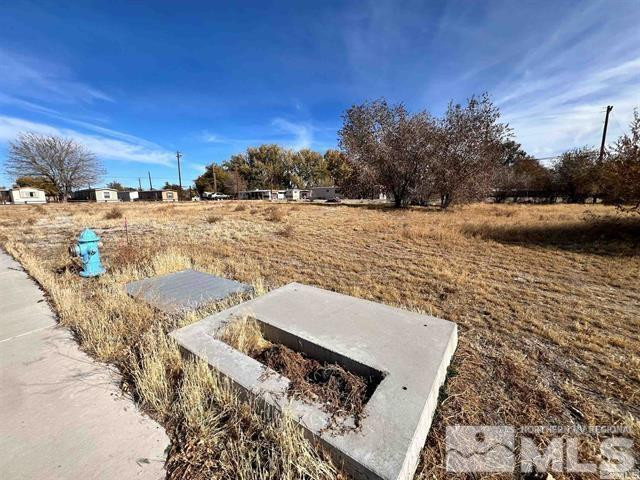 321 Silver Spur Drive Fallon, NV 89406 - Photo 9 of 12 Photo 9