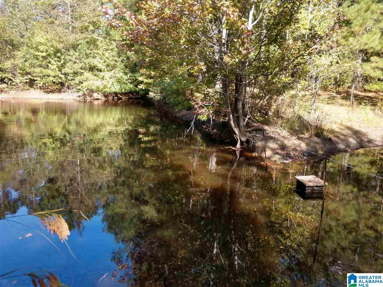 5403 County Road 41 Clanton, AL 35046 - Photo 11 of 12