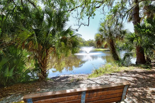 a view of a yard with plants and trees