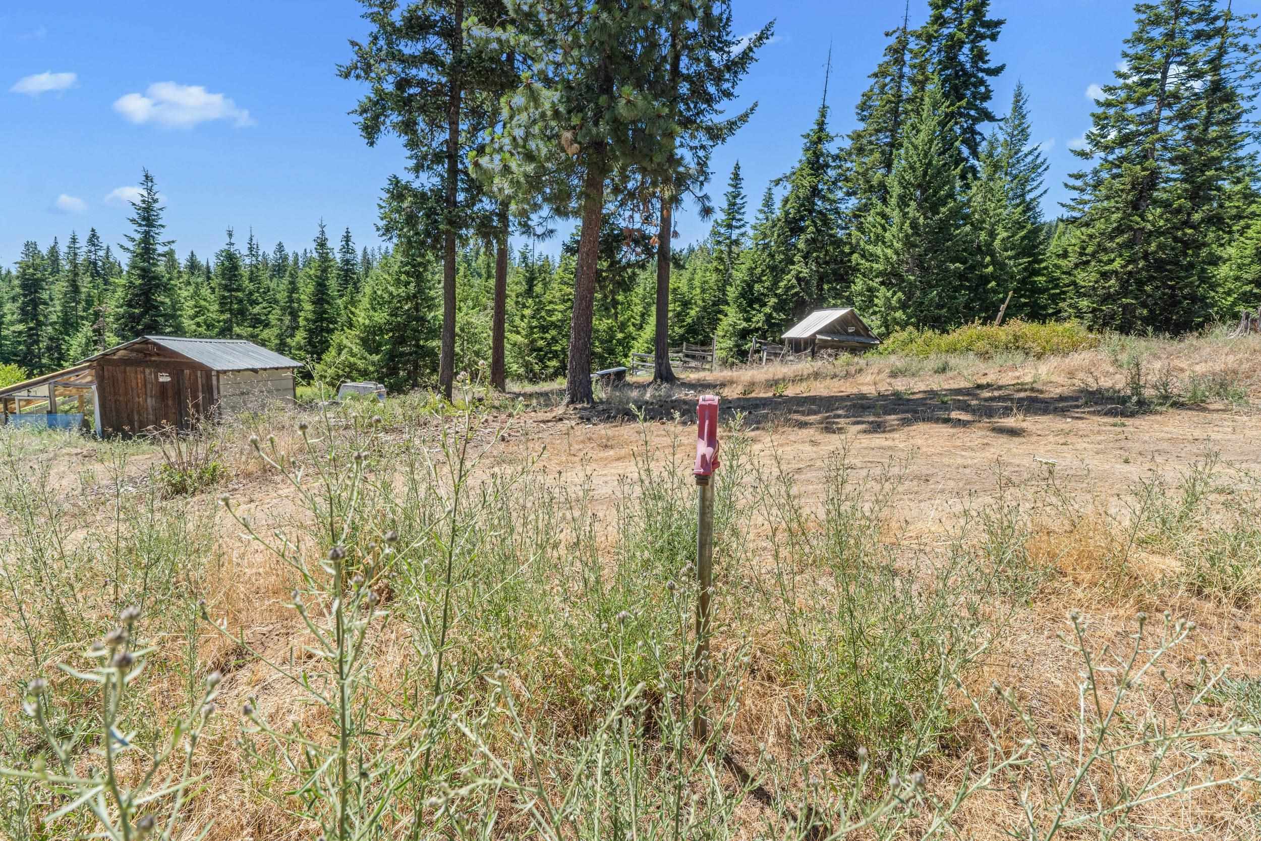 1022 Spring Hill Road Newport, WA 99156 - Photo 16 of 46