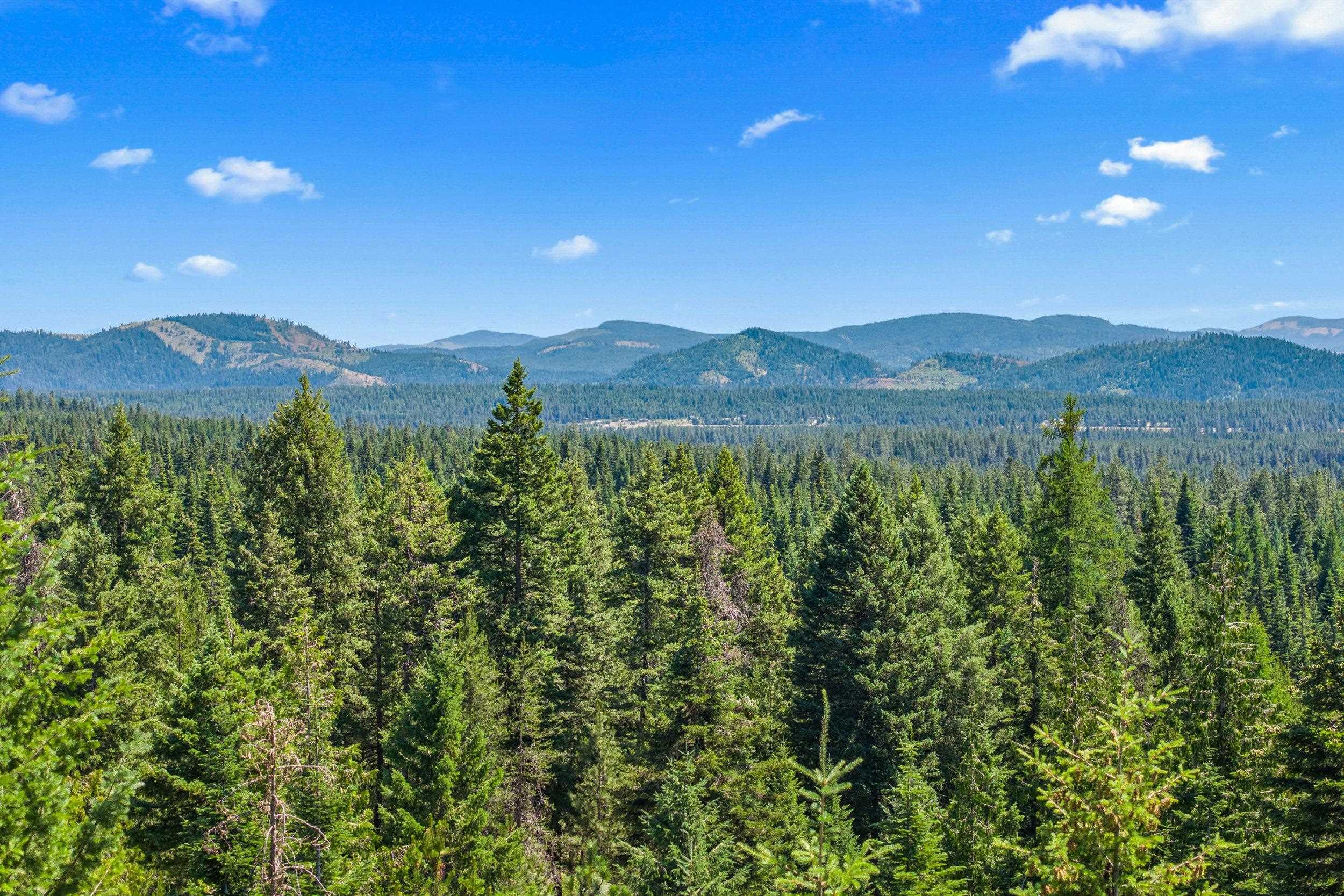 1022 Spring Hill Road Newport, WA 99156 - Photo 17 of 46