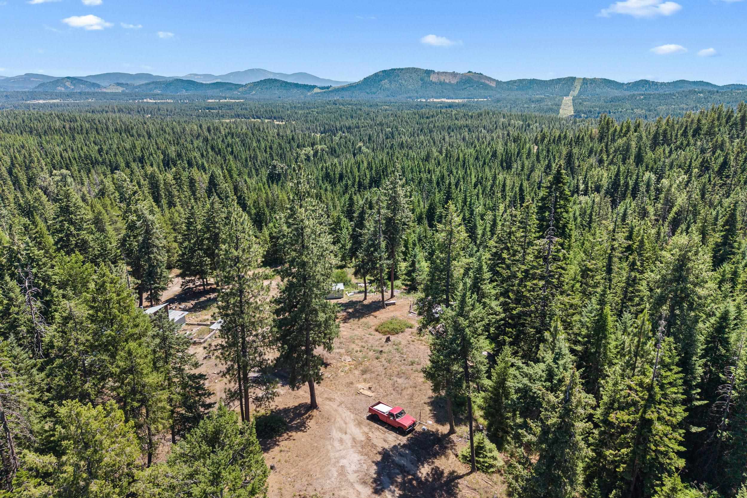 1022 Spring Hill Road Newport, WA 99156 - Photo 23 of 46