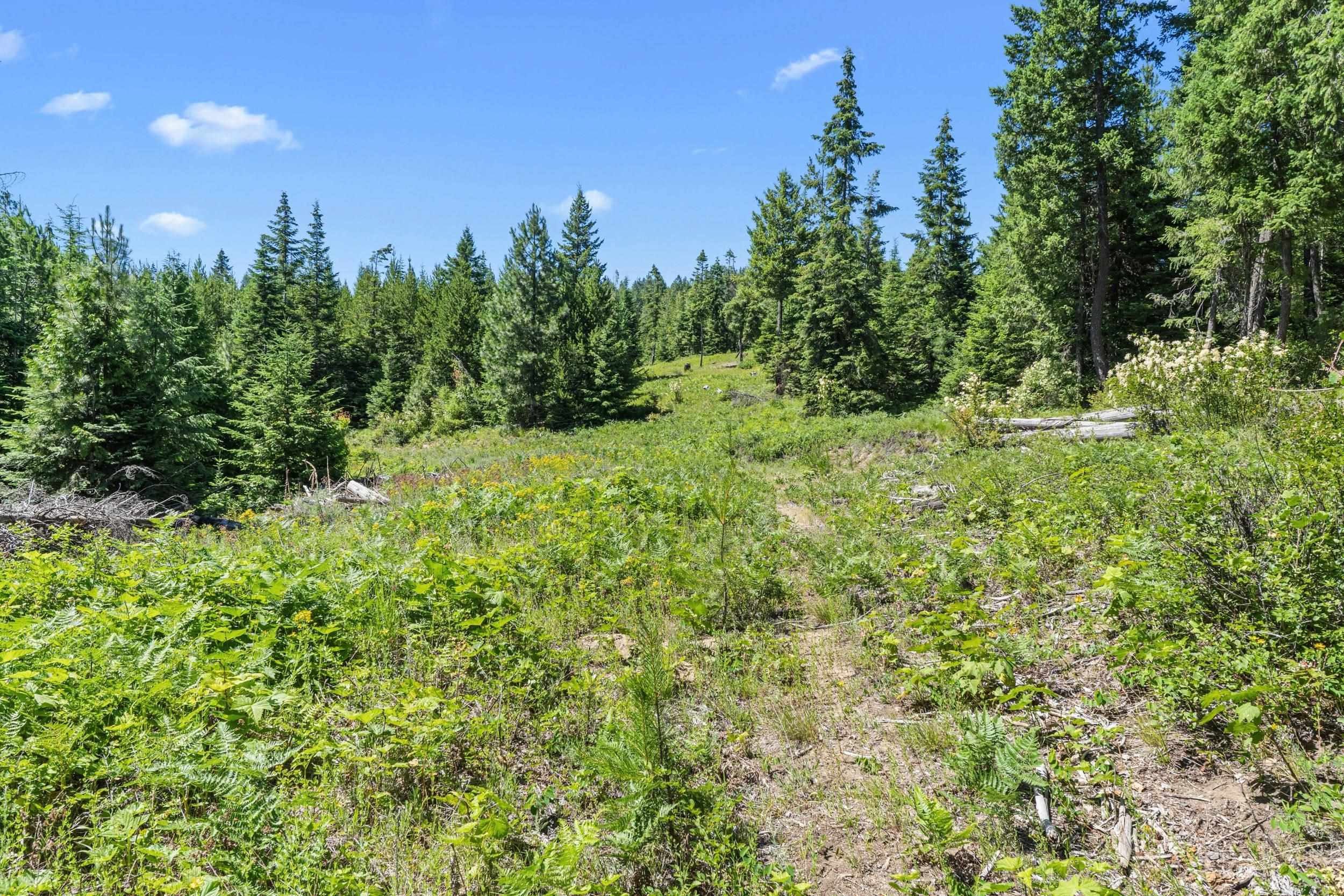 1022 Spring Hill Road Newport, WA 99156 - Photo 31 of 46