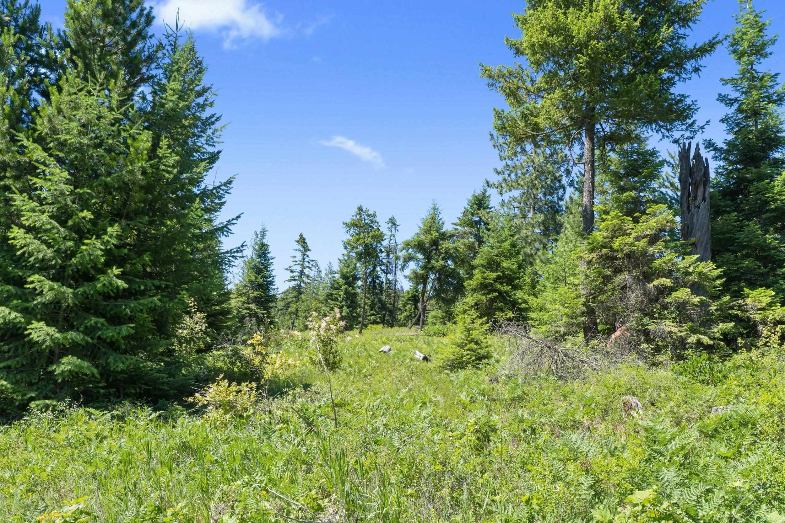 1022 Spring Hill Road Newport, WA 99156 - Photo 32 of 46