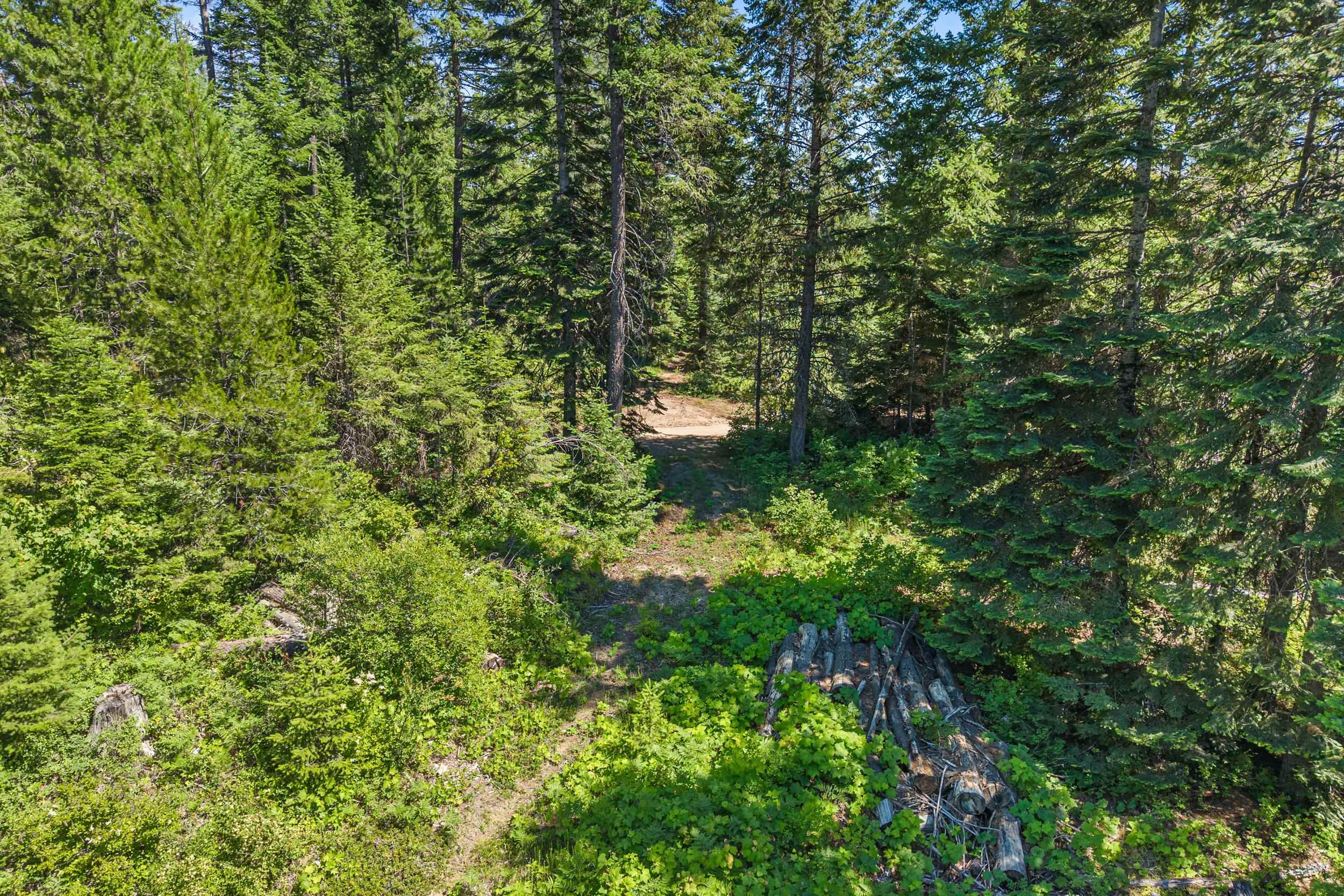 1022 Spring Hill Road Newport, WA 99156 - Photo 34 of 46