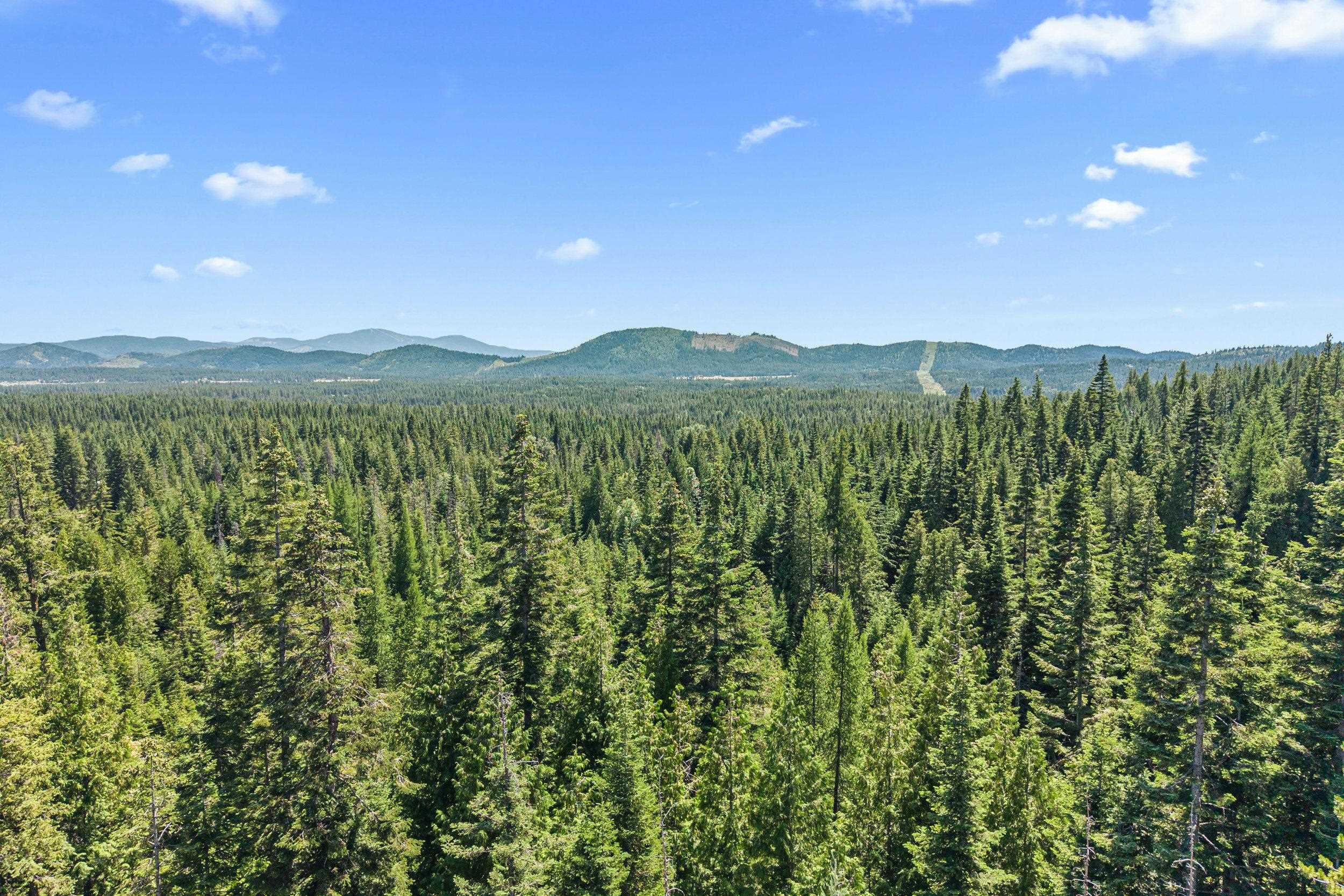 1022 Spring Hill Road Newport, WA 99156 - Photo 38 of 46