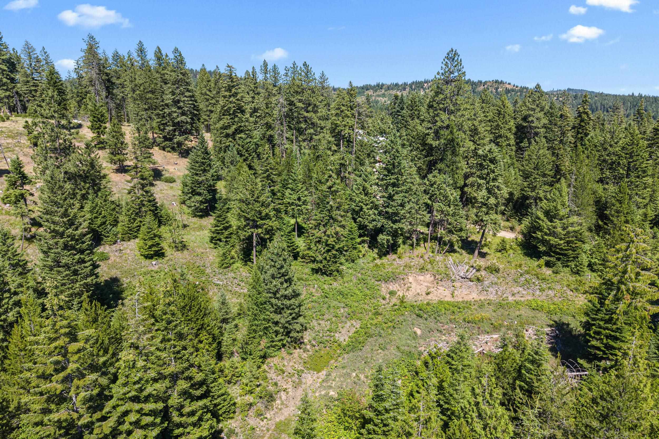 1022 Spring Hill Road Newport, WA 99156 - Photo 39 of 46