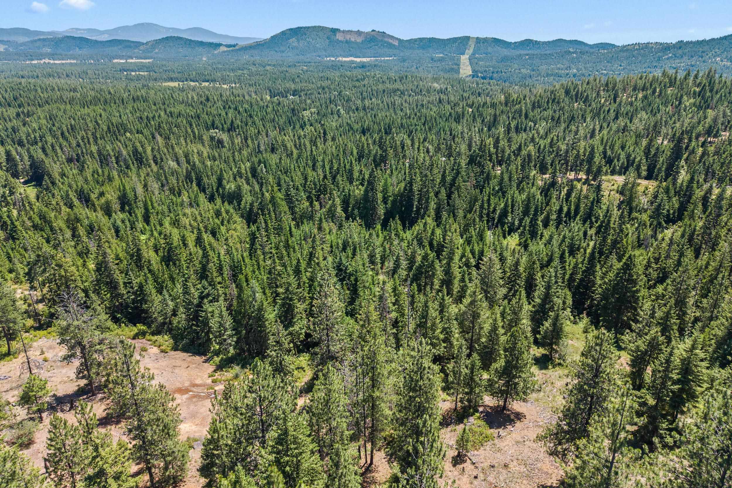 1022 Spring Hill Road Newport, WA 99156 - Photo 40 of 46