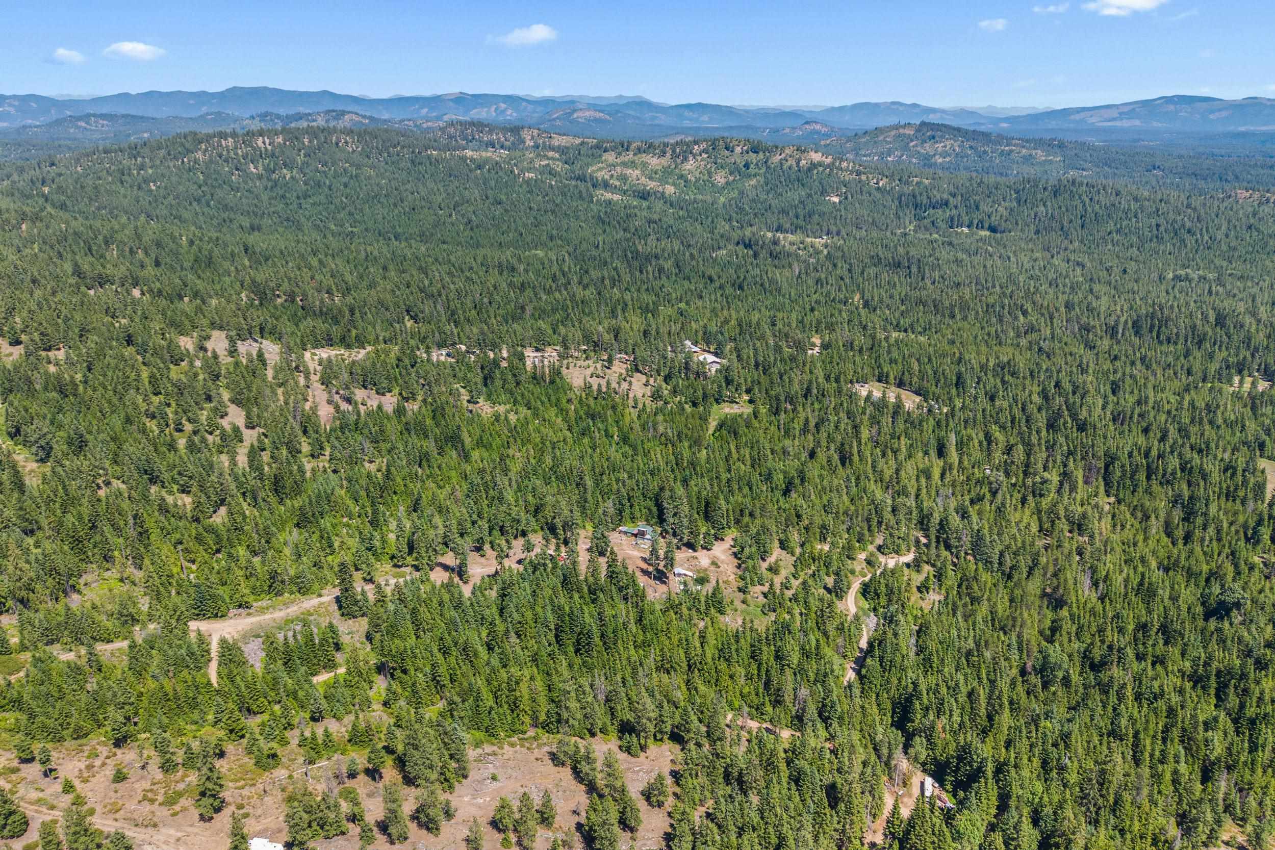 1022 Spring Hill Road Newport, WA 99156 - Photo 41 of 46