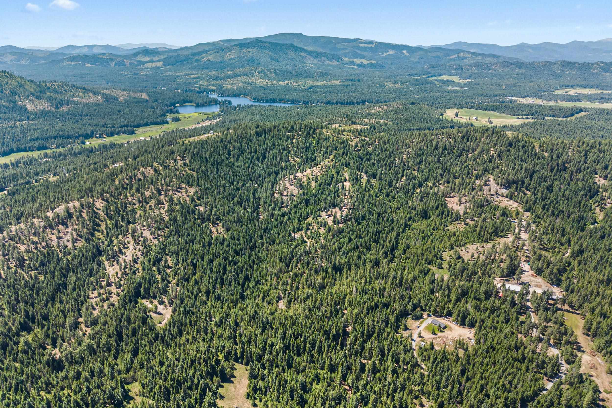 1022 Spring Hill Road Newport, WA 99156 - Photo 44 of 46