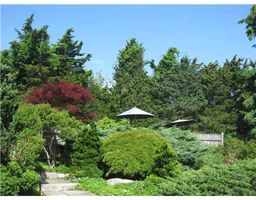16 Whistler Point Road Little Compton, RI 02837 - Photo 5 of 5 Yard/Garden.