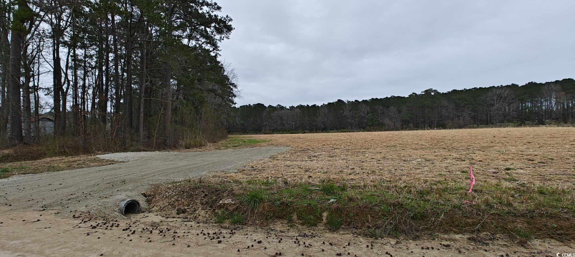 Lot 10 Jewel Lane Conway, SC 29527 - Photo 1 of 6
