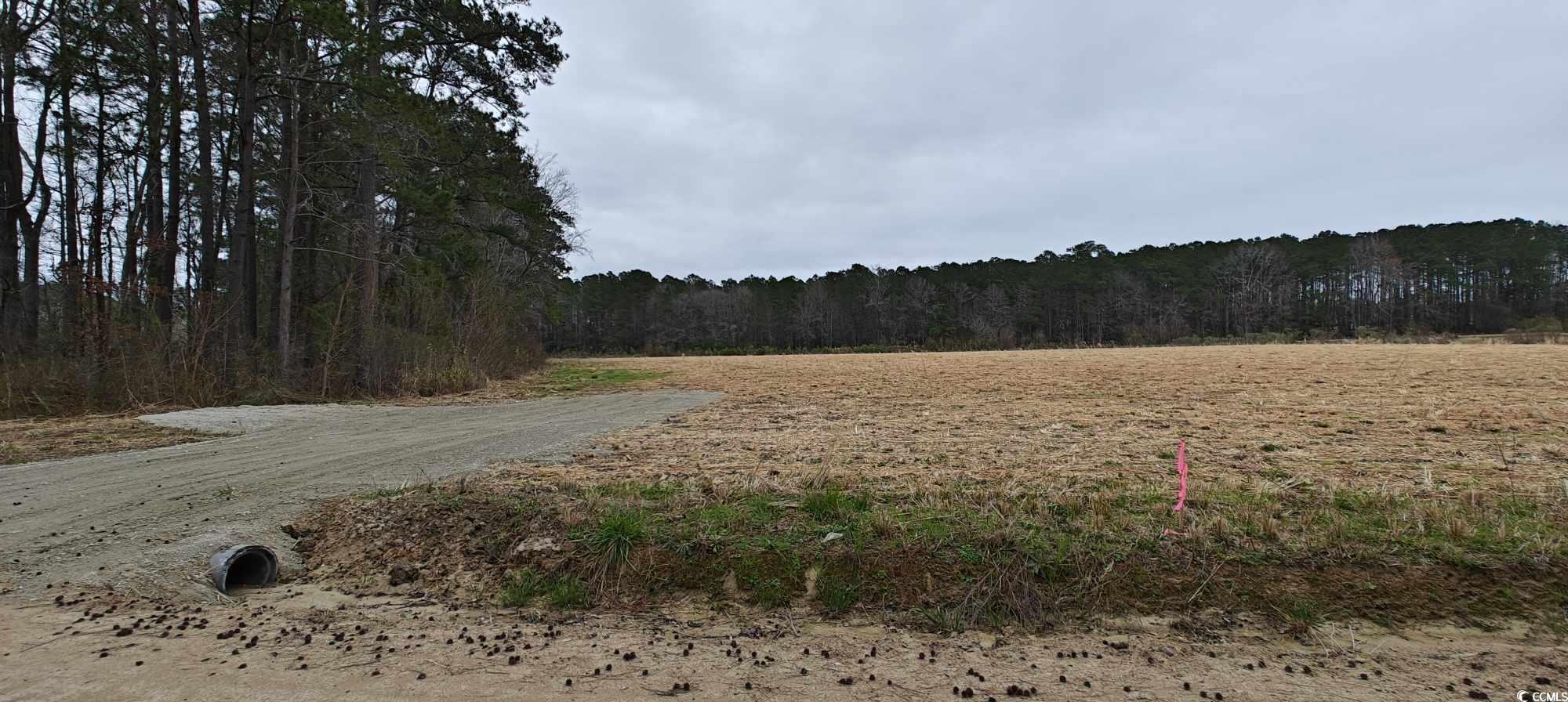 Lot 10 Jewel Lane Conway, SC 29527 - Photo 2 of 6