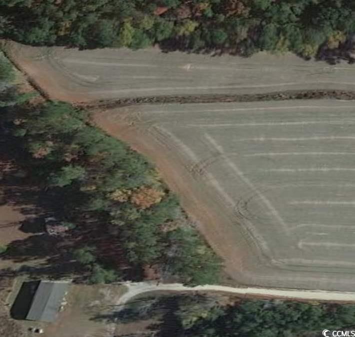 Lot 10 Jewel Lane Conway, SC 29527 - Photo 4 of 6