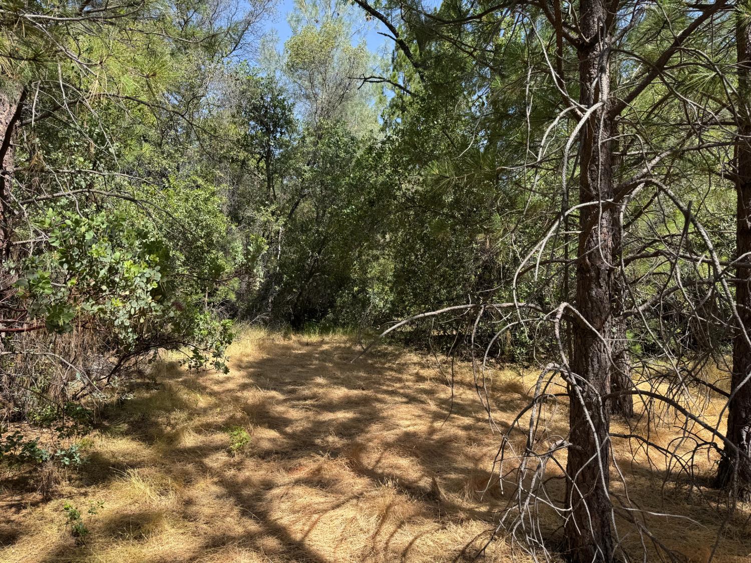 0 French Gulch Road Murphys, CA 95247 - Photo 13 of 19