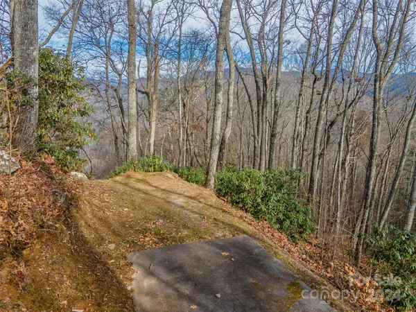 a view of backyard with pathway and trees
