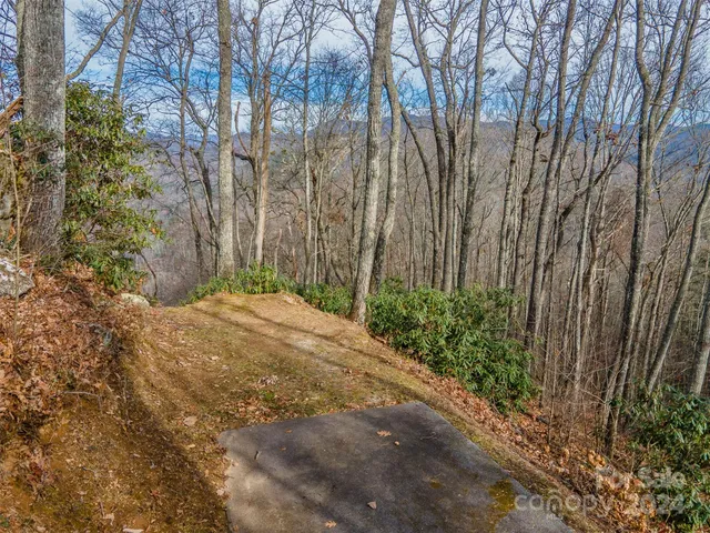 a view of backyard with pathway and trees