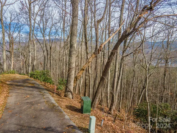 a view of a backyard of the house