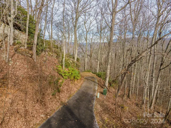 a view of a yard with large trees