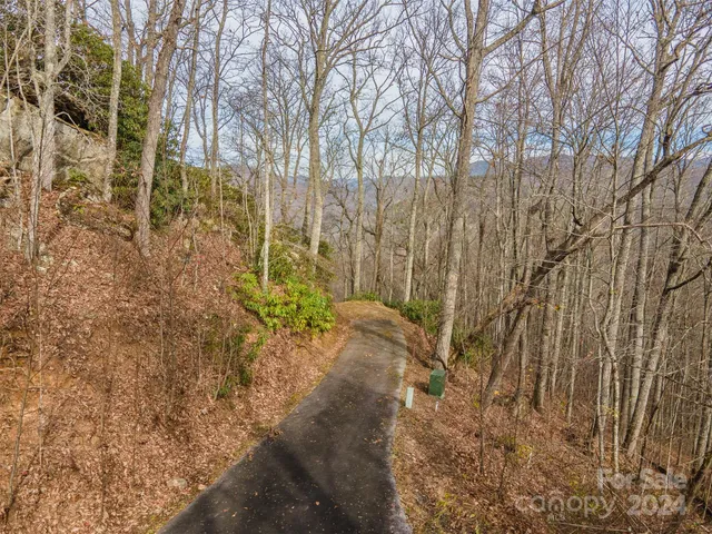 a view of a yard with large trees