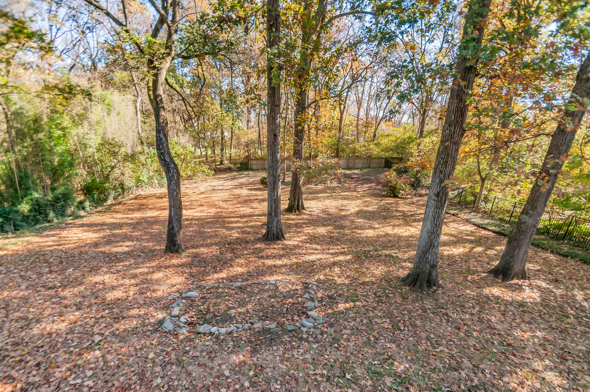4206 Sneed Road Nashville, TN 37215 - Photo 48 of 56 a view of a forest with trees