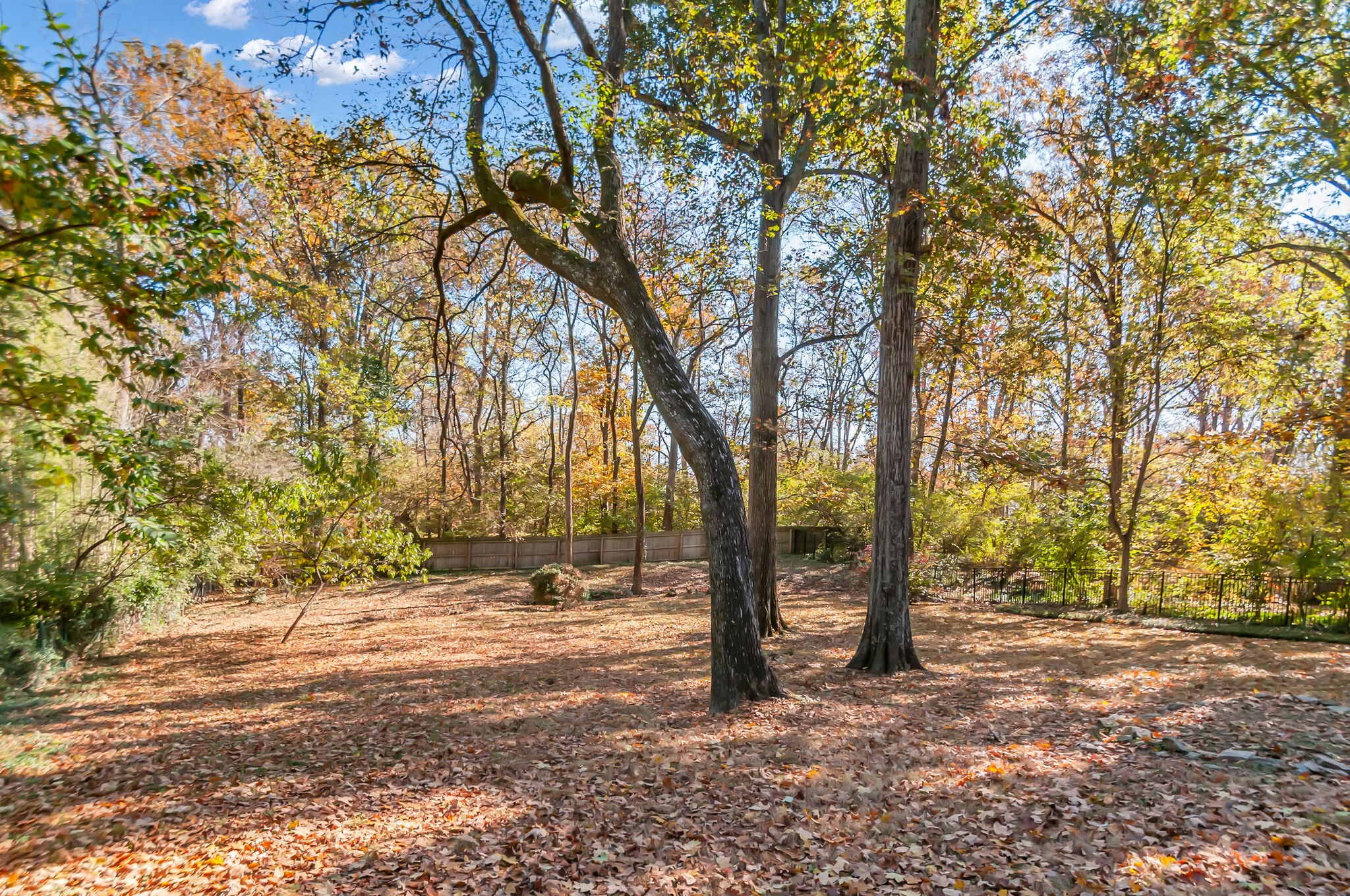 4206 Sneed Road Nashville, TN 37215 - Photo 56 of 56 a view of outdoor space with trees