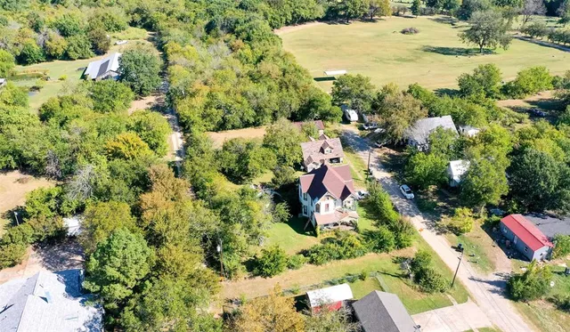 a picture of flowers