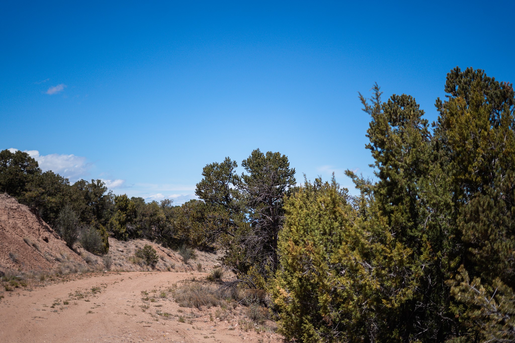 67-acres Red Ridge Santa Fe, NM 87501 - Photo 22 of 40 Middle Lot