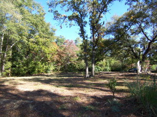 1542 Dibble Rd S West Aiken, SC 29801 - Photo 1 of 1