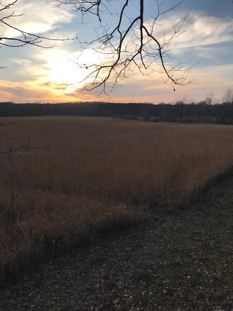 2255 River Road Hastings, MI 49058 - Photo 32 of 94