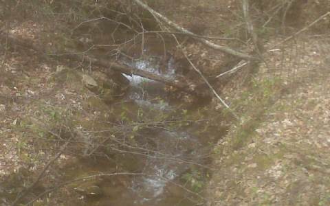 11.91 Morganton Camp Road Blue Ridge, GA 30513 - Photo 1 of 1