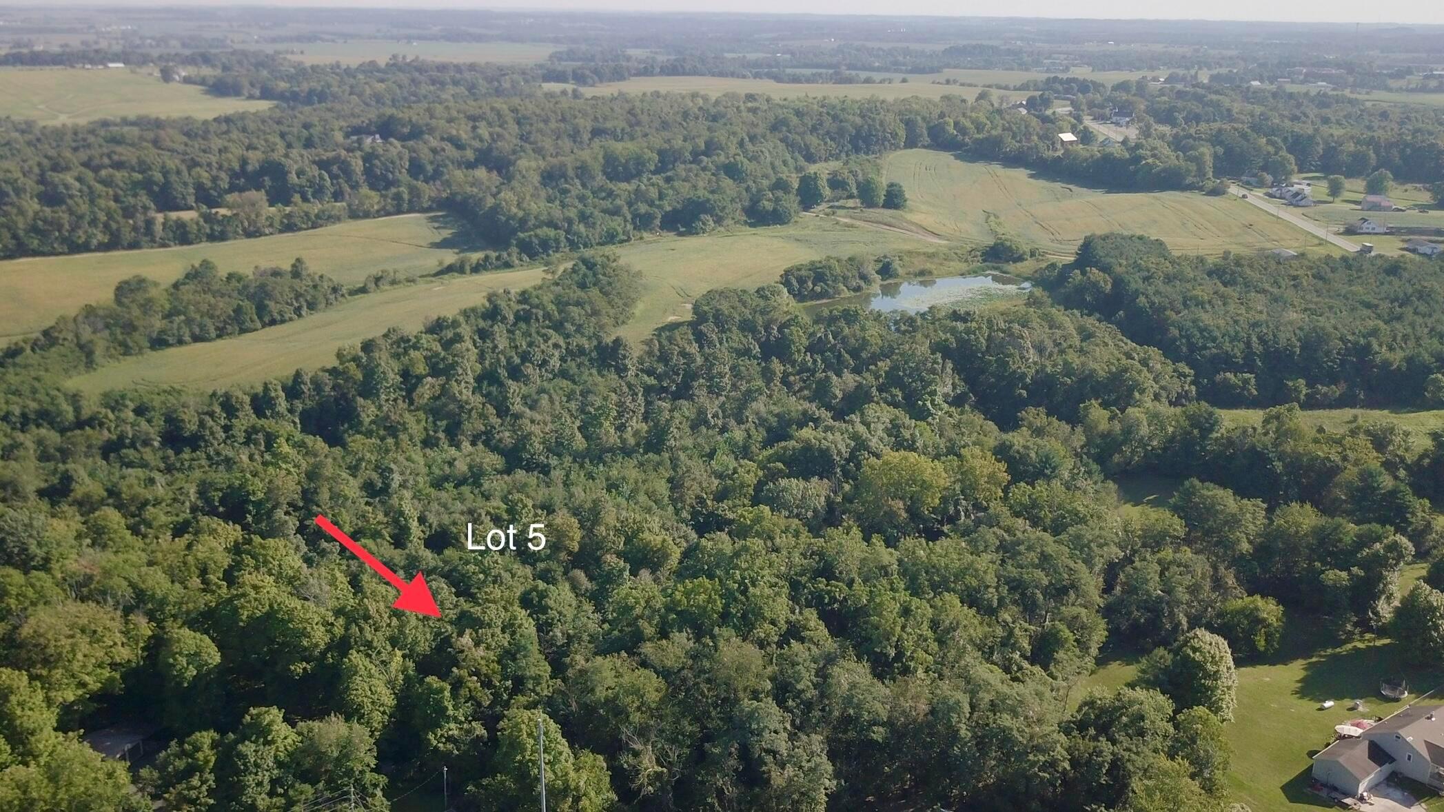 Lot 5