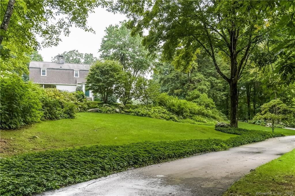 a view of a back yard