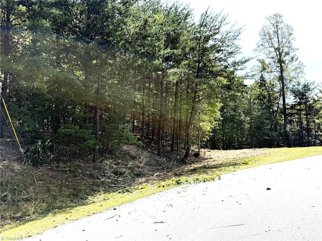 Tbd Ridge Run Road Boomer, NC 28606 - Photo 14 of 15 Gallery Image 14