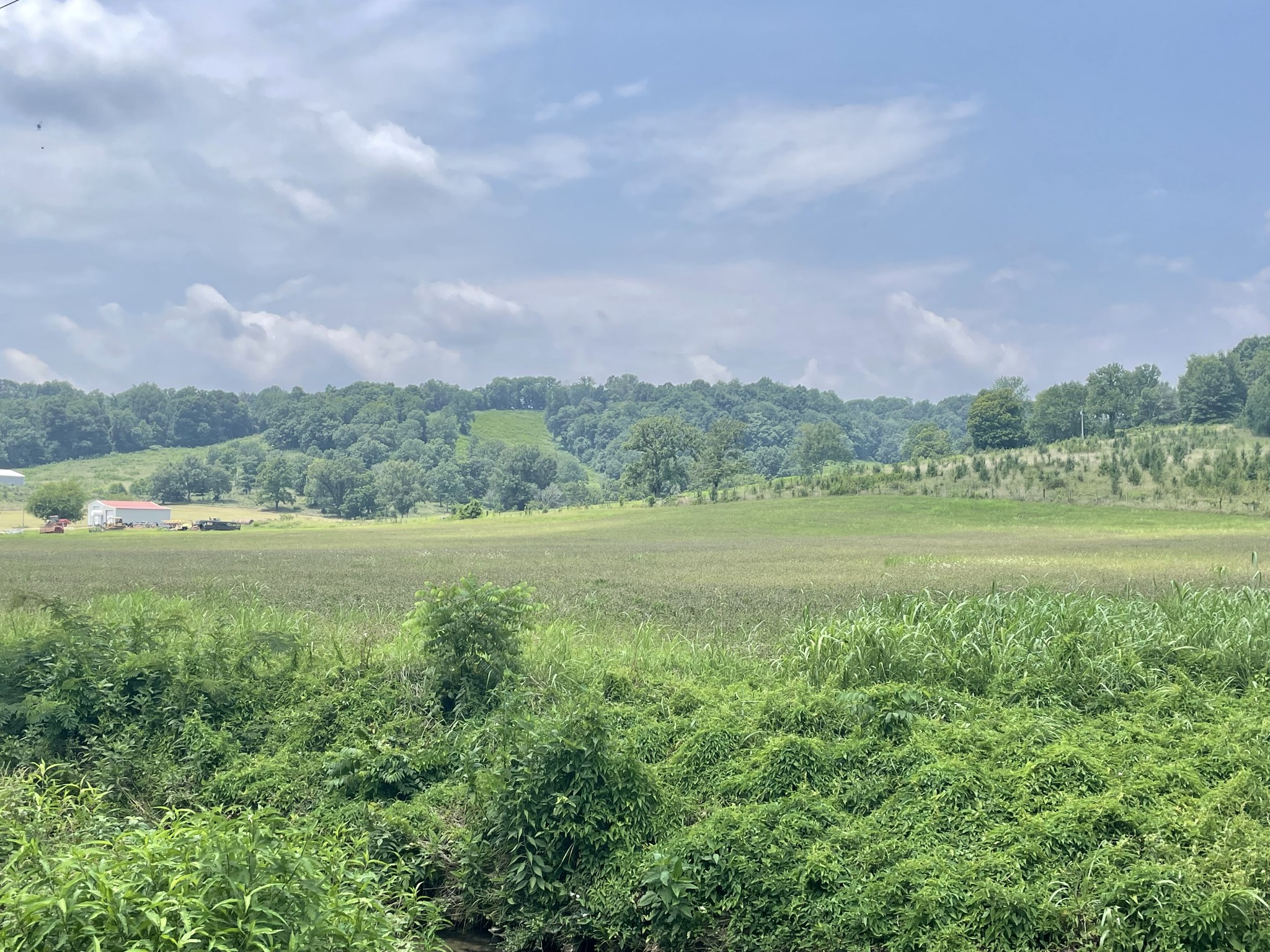 0 Chicken Creek Road Frankewing, TN 38459 - Photo 11 of 16 Gallery Image 11