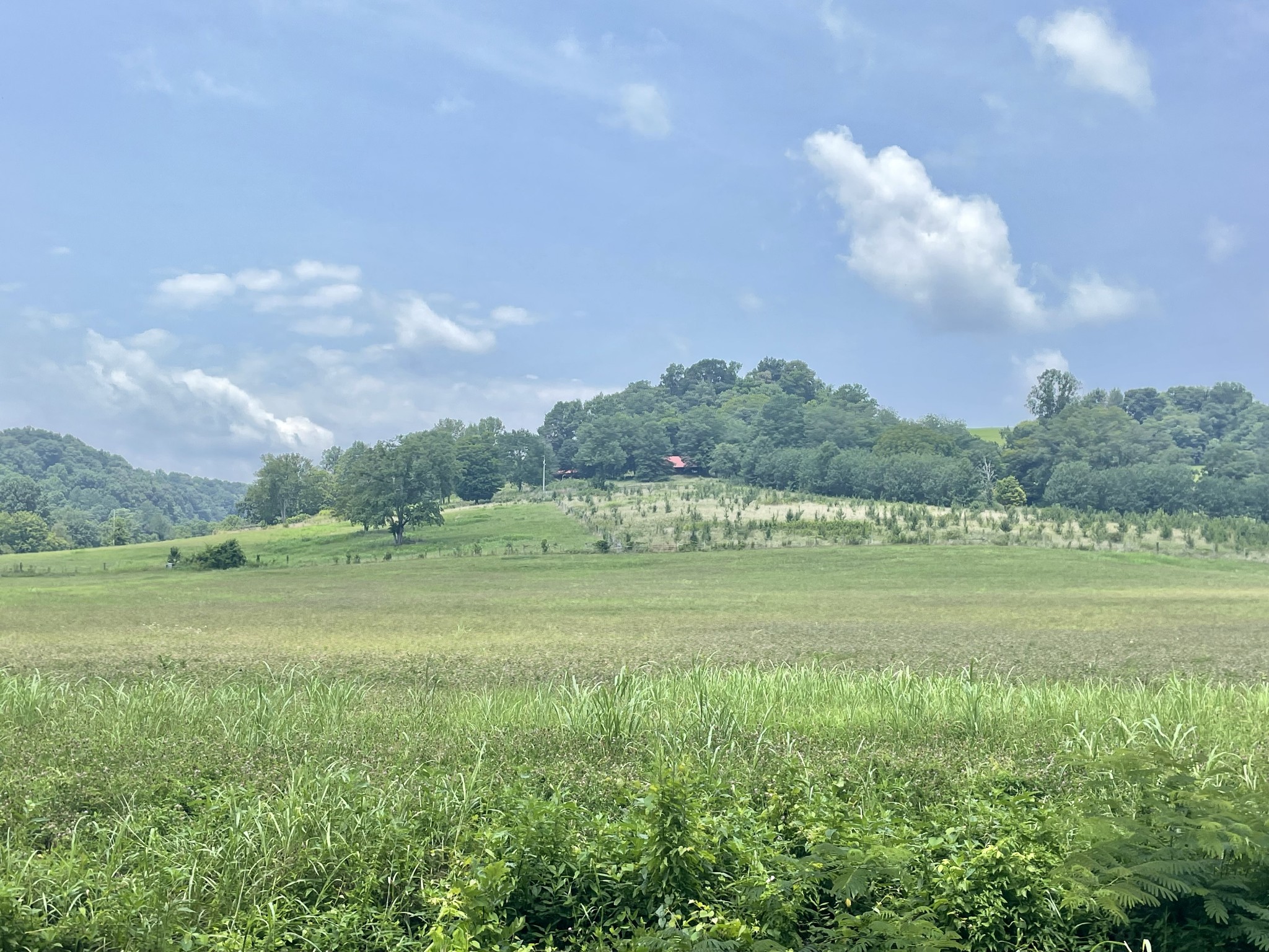 0 Chicken Creek Road Frankewing, TN 38459 - Photo 13 of 16 Gallery Image 13