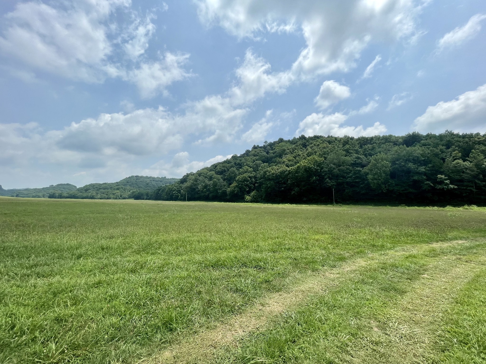 0 Chicken Creek Road Frankewing, TN 38459 - Photo 14 of 16 Gallery Image 14