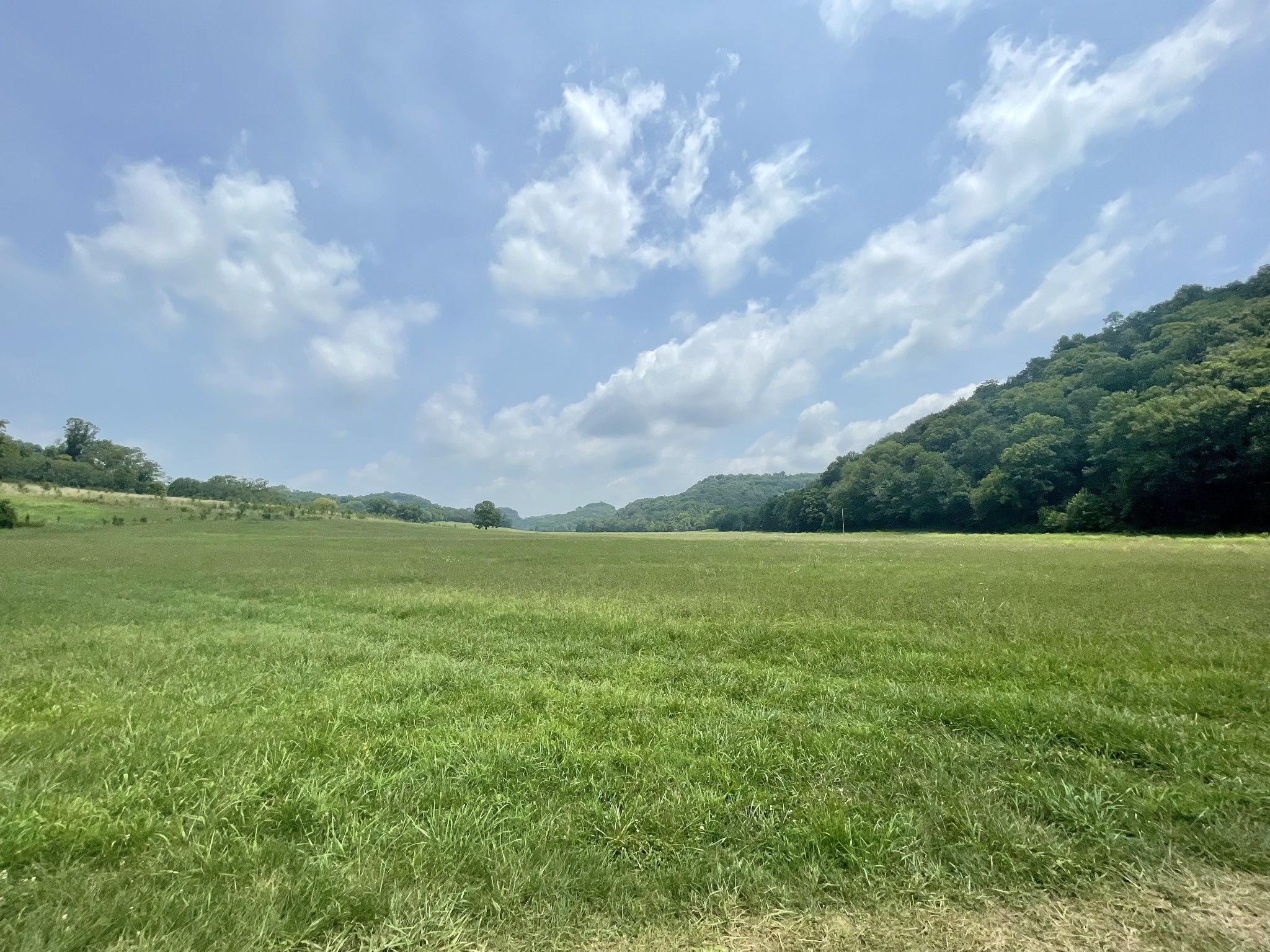 0 Chicken Creek Road Frankewing, TN 38459 - Photo 15 of 16 Gallery Image 15