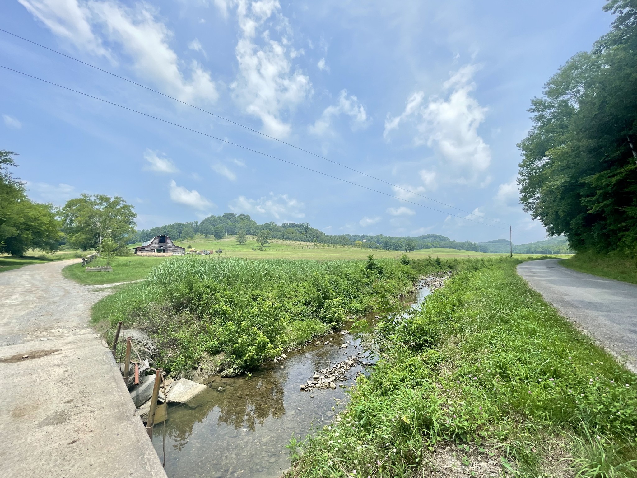 0 Chicken Creek Road Frankewing, TN 38459 - Photo 5 of 16 Gallery Image 5