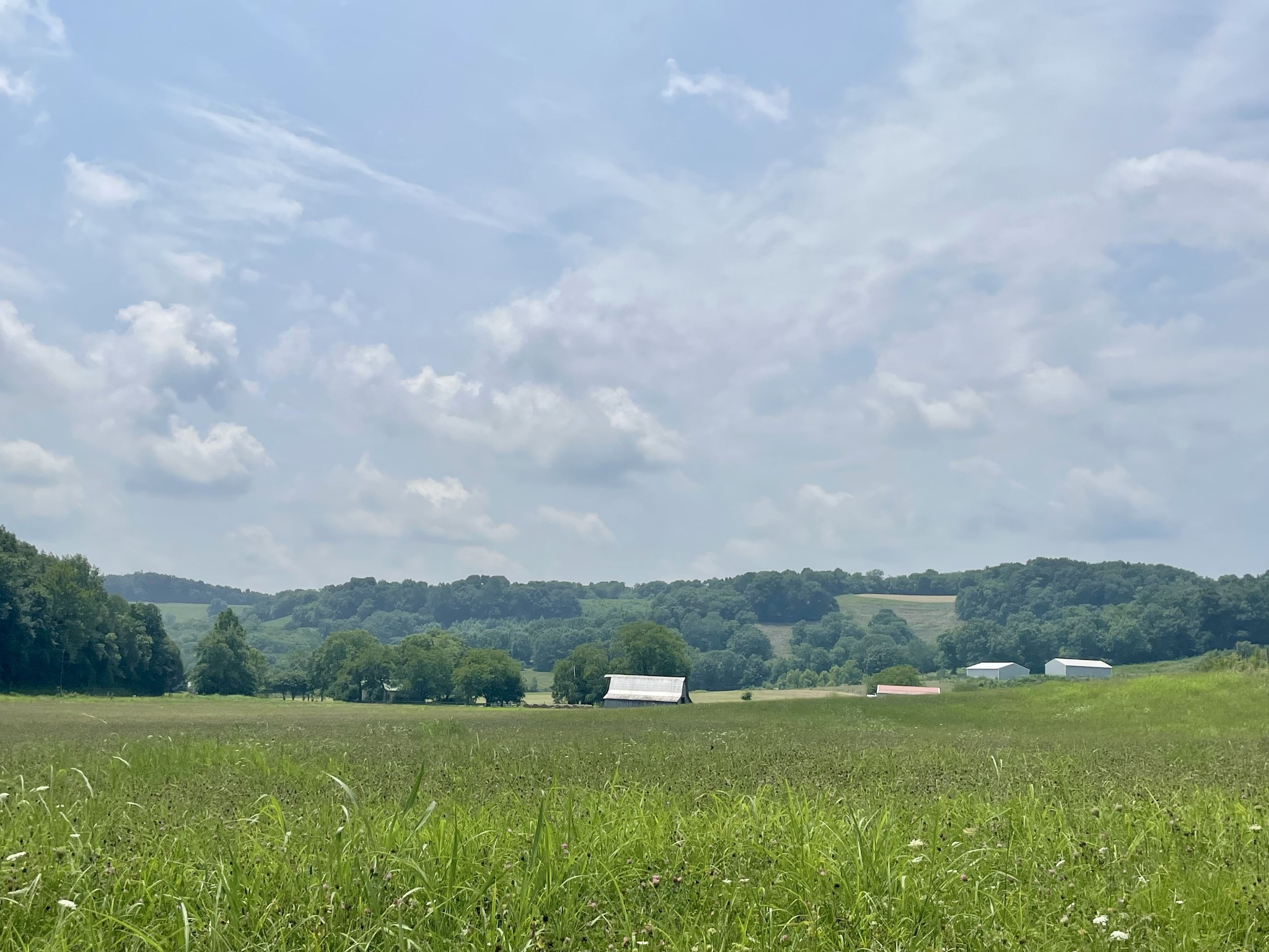 0 Chicken Creek Road Frankewing, TN 38459 - Photo 8 of 16 Gallery Image 8