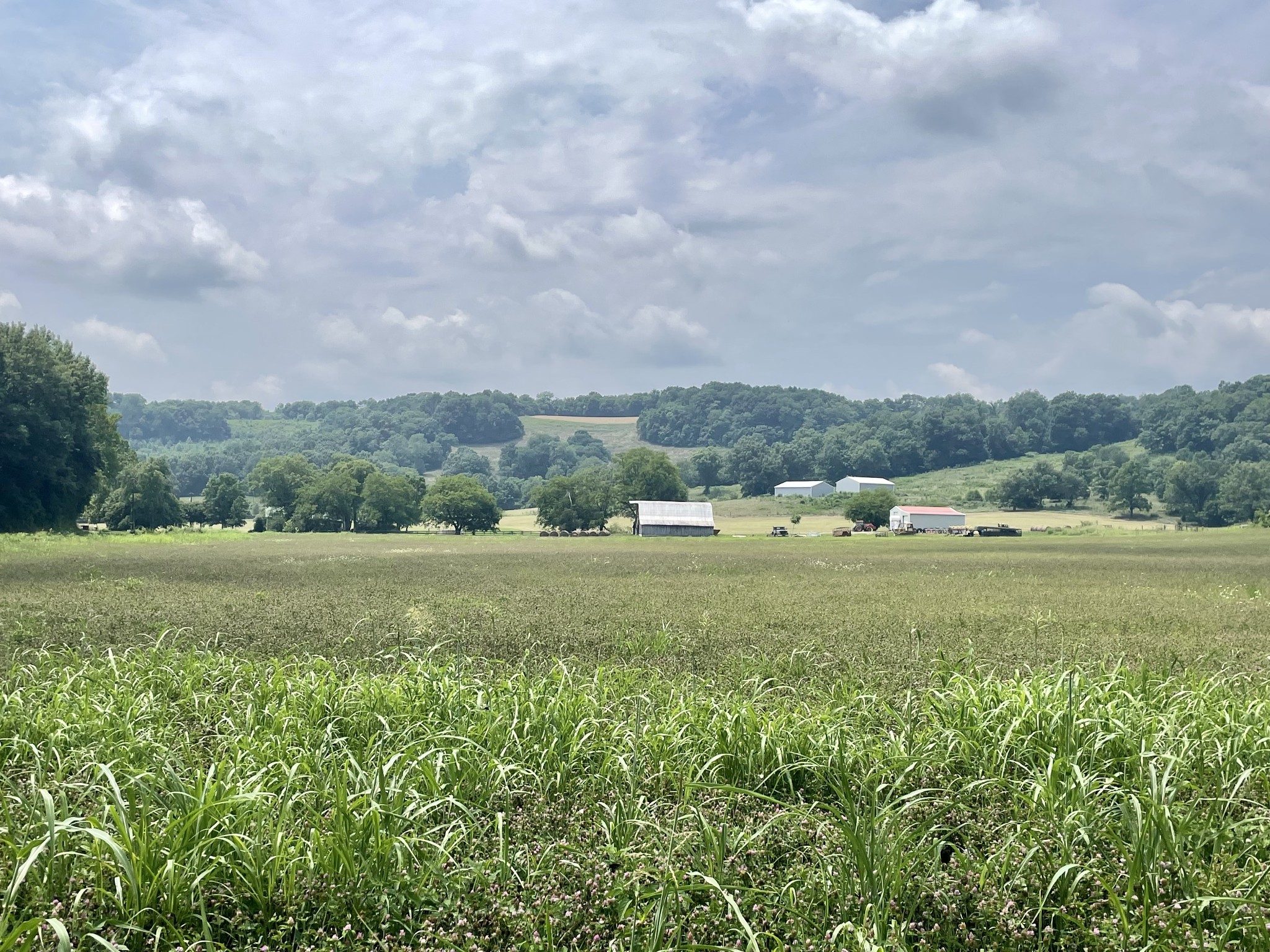 0 Chicken Creek Road Frankewing, TN 38459 - Photo 9 of 16 Gallery Image 9