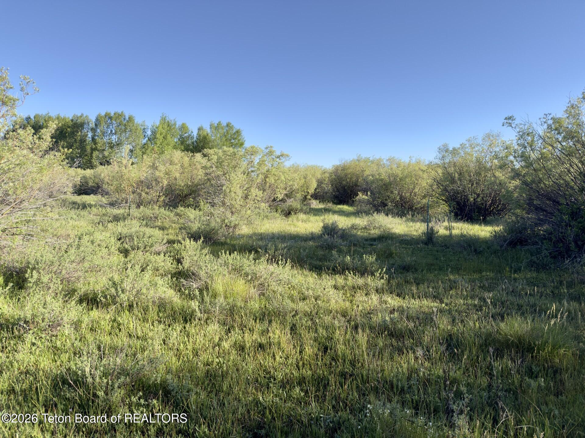 3329 Trout Creek Road Victor, ID 83455 - Photo 9 of 12 Build Site area