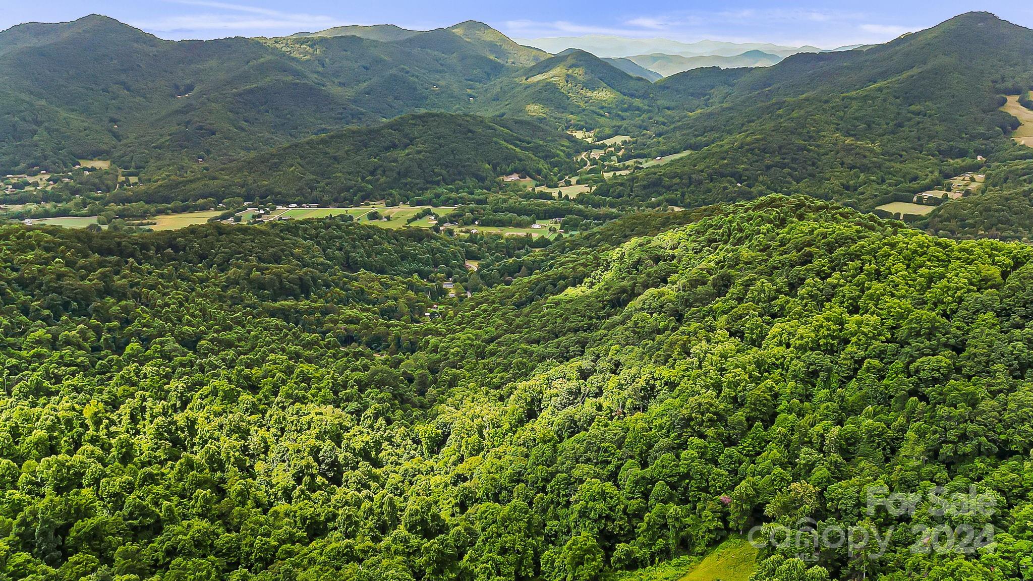 158 Sugar Cove Road Weaverville, NC 28787 - Photo 11 of 48 a view of a lush green forest with lush green forest