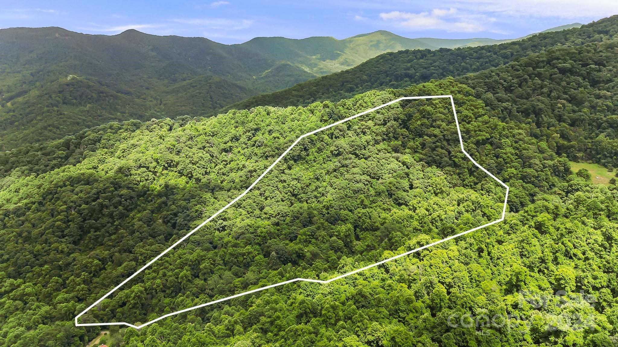 158 Sugar Cove Road Weaverville, NC 28787 - Photo 12 of 48 a view of a forest with a mountain